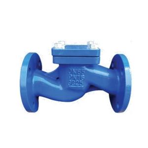 China Blue Swing Type Check Valve , DIN Cast Iron Lift Check Valve Check Structure supplier
