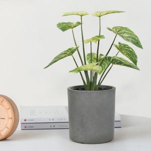 Modern Artificial Potted Floor Plants For Home And Garden Decoration Philodendron Birkin