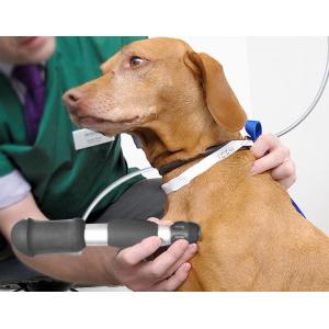 Veterinary Chiropractic & Animal ESWT Machine Acoustic Wave Massager