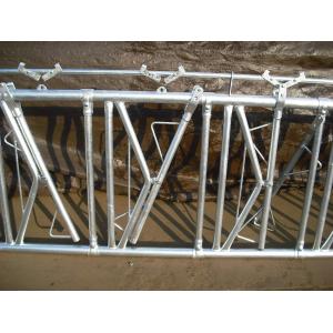 Dairy Farm Cattle Hay Feeder Panels , Cattle Head Lock Gates OEM/ODM Available