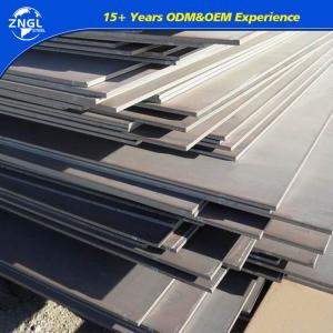 China High Strength Stainless/Alloy/Wear Resistant Steel Plate for Container Technique Extruded supplier