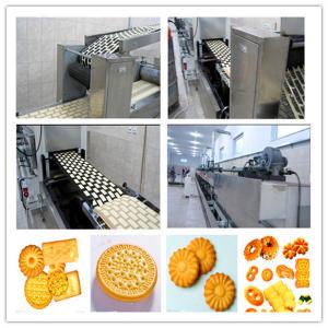 China machines to make biscuits line supplier