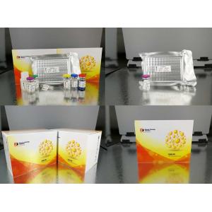 96 Wells Human ELISA Assay Kit For Research / Sandwich Elisa Kit With Strong Sensitivity