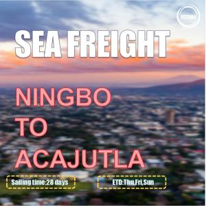 Ningbo To Acajutla Salvador Global Ocean Freight Brokers 3 Shifts Per Week