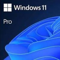 China Windows 11 Pro Oem Retail 1User Activation Key on sale