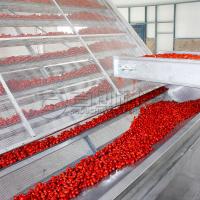 China Steel Belt Jujube Wolfberry Mesh Belt Dryer PLC Control Fruit Processing on sale