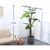China 175cm Height Artificial Tropical Tree Green Foliage Plant Monstera For Home Decor wholesale