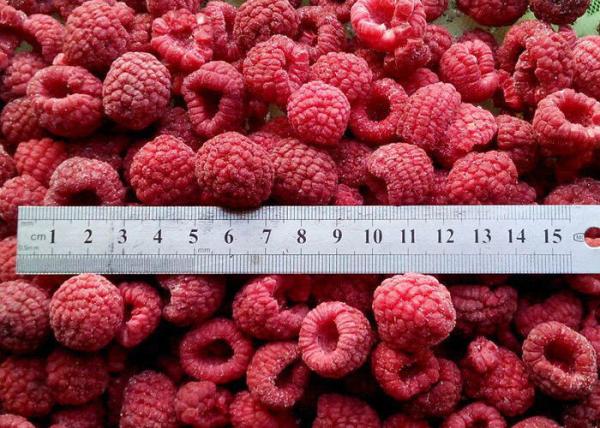2019 New Crop Fresh IQF Frozen Raspberry Quick Frozen Foods