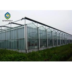 4m Commercial Glass Greenhouse