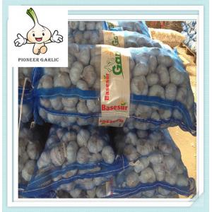 China 100% quality lastest new products pure white garlic bulk fresh garlic supplier
