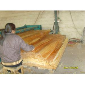 White / Brown Birch Rotary Cut Wood Veneer , Quilted Maple Veneer