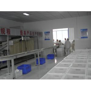 China Healthy Chicken Egg Flavor Dried Noodles Processing Machine 12 Months Warranty supplier