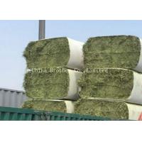 China PE Laminated / BOPP Film Hay Bale Wrap Materials on sale
