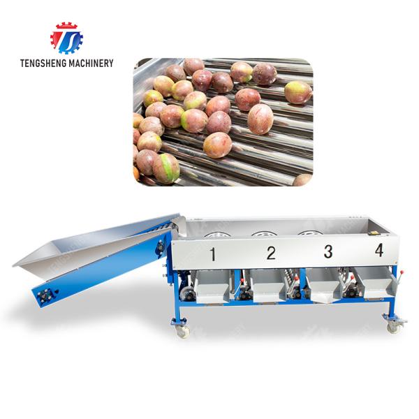 Maracuyá de mandarina aguacate cereza Mango pera plátano mangostán kiwi Inspección Clasificación Transporte procesamiento producción Máquina clasificadora de frutas y verduras