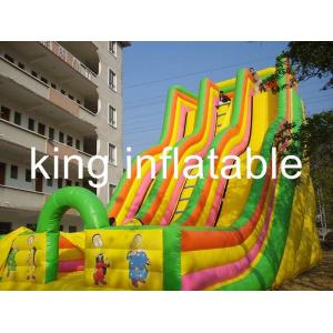 China Giant Double Lane Inflatable Dry Slide Colorful Cartoon Printing For Amusement Park supplier