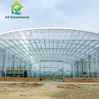 China Waterproof Multispan Agricultural Glass Greenhouse Large Venlo Shading Greenhouse on sale