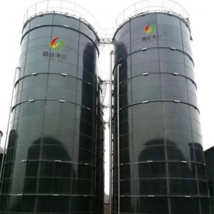 China Biogas Generation From Food Waste Large Scale Biogas Plant supplier