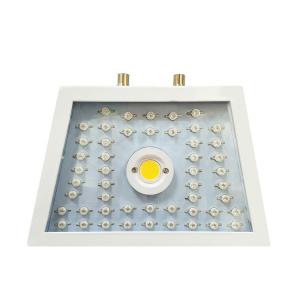 China Special Shape LED Plant Grow Light With Dual Chip (10W) LED Low Heat supplier