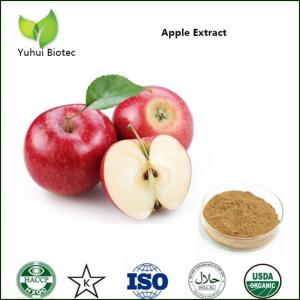 apple extract,green apple extract,green apple extract,apple polyphenols extract