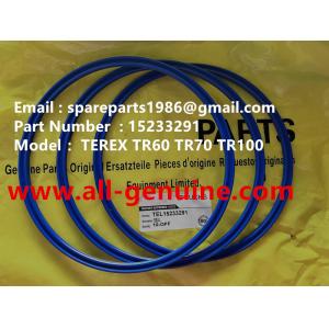 15233291 SEAL TEREX NHL GE WHEEL MOTOR TR50 TR60 TR45 TR70 MINING DUMP TRUCK GENUINE MT4400 MT3600 BELAZ 75131 HAULER