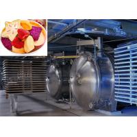 China 220V/380V/3PH Professional Food Vacuum Freeze Dryer For High Drying Performance on sale
