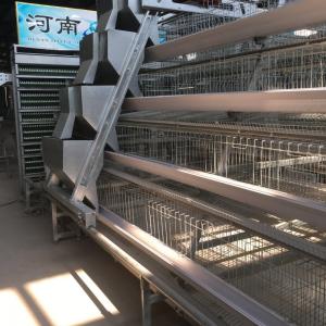 China 4 Tier Automatic Chicken Cage Manure Remover A Type Silver White supplier