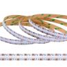 China Crea un ambiente festivo con la lámpara de LED de banda de FPC CHIP RESISTOR Bright COB RGB wholesale