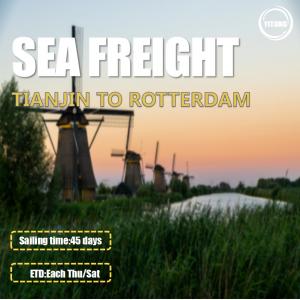 2 Shifts Per Week Worldwide Sea Freight From Tianjin To Rotterdam Netherlands