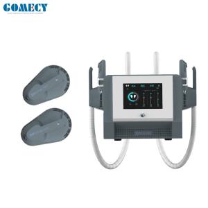China 2800W entrou o emagrecimento eletromagnético do RF da máquina do Stimulator do músculo do EMS supplier