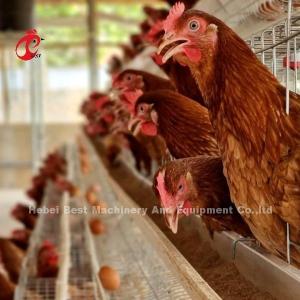 Most Popular Battery Cage Price In Nigeria Poultry Farming Hot Galvanized Adela