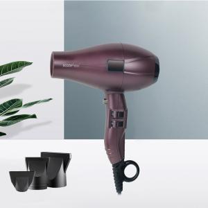 China ROHS Ionic 2400W High Power Hair Dryer With Diffuser AC Motor One Step supplier