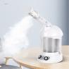 China Portable Micro Face Steamer for Deep Cleansing and Cold Facial Multifunctional Design wholesale