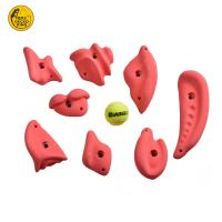 China Large L Customized Gecko King Wooden Boulder Climbing Holds Customized for End Buyers on sale