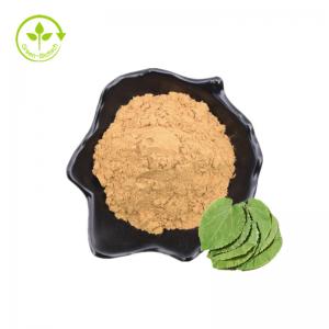 Wholesale Pure Icariin Bulk Price Epimedium Extract Icariin Powder 98%