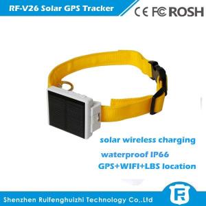 China smart waterproof solar power gps tracker for cow RF-V26 supplier