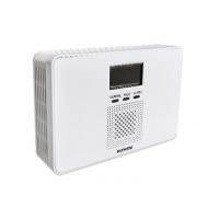 Household Gas Stove CO Alarm Detector CE Carbon Monoxide Fire Alarm