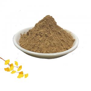 Herb 24 Flavone Ginkgo Biloba Leaf Extract 6% Lactones