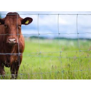 Height 1.7m Metal Cattle Fence High Strength Galvanized PVC Coated