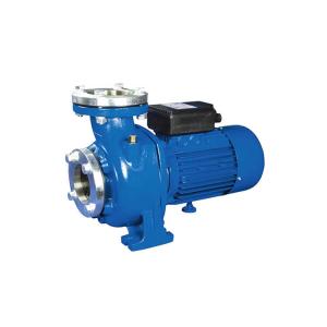 High Flow Rates Centrifugal Water Pump 1 HP 0.75 KW For Agriculture / Swimming Pool