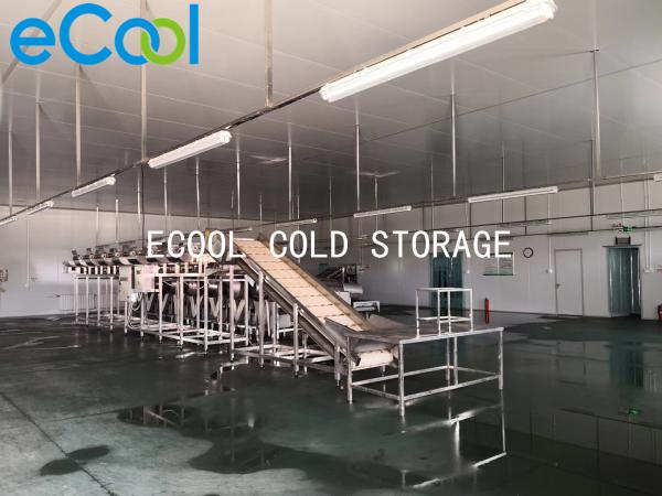 Air Cooler Multipurpose Cold Storage With Freon Refrigeration System