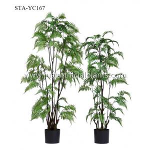 Stunning Artificial Fern Tree Realistic Timeless Beauty Color Change Leaves