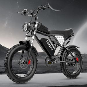 20in Off Road Fat Tire Electric Bike 7 Speed Fat Emtb Rear Drive Transmission