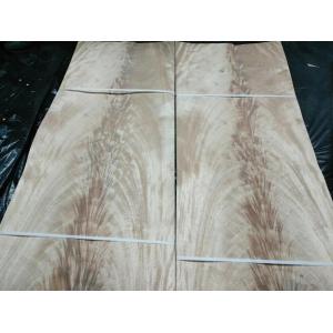 China Burl Crotch Veneers MAHOGANY CROTCH WOOD VENEER for Furniture Cabinet Interior Decoration supplier