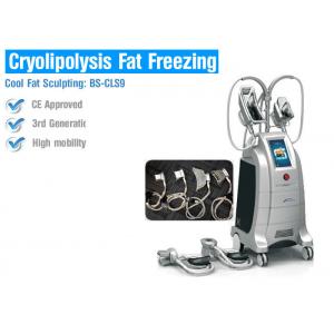 China Multifunction Cryolipolysis Body Slimming Machine , Fat Freezing Body Slimming Equipment supplier