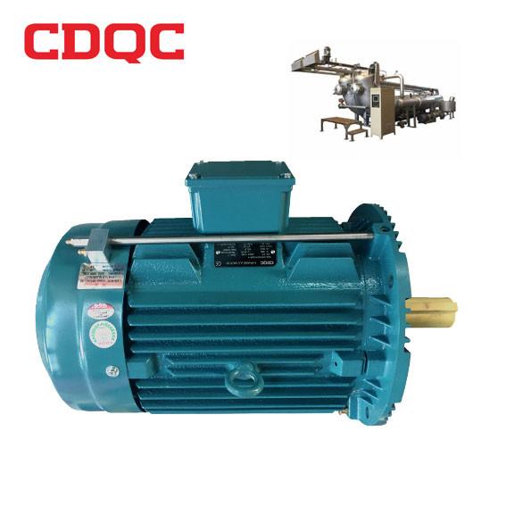 Professional Electric Industrial Induction Motor Three Phase Dyeing Ac Motor