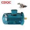 Professional Electric Industrial Induction Motor Three Phase Dyeing Ac Motor