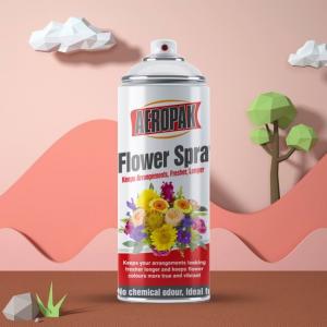 400ml Aerosol Spray Paint For Real Flower Natural Flower Colouring Spray
