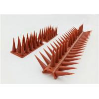 China Outdoor Indoor OEM Plastic Anti Pigeon Spikes Eco Friendly Reusable Bird Repellent Effective on sale