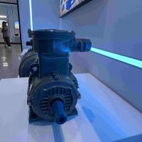 China Carbon Steel Medium Voltage Induction Motor Three Phase on sale