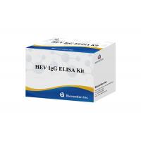 China HEV Human Igg Elisa Kit Diagnostic For IgG Antibody To Hepatitis E Virus on sale